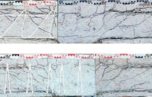  Crack pattern in sawn section of the test specimen [10]  