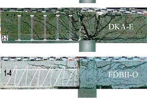  Crack pattern in sawn section of the test specimens, extract from [13]  