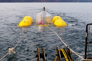  The concrete sphere is lowered into Lake Constance  