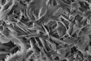  Structure of hydrated LTBB after 20 h of hydration, compressive strength = 35 N/mm² 