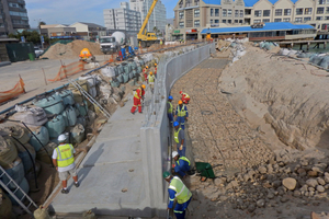  A section of the Phase 1 seawall and the Reno Mattress 