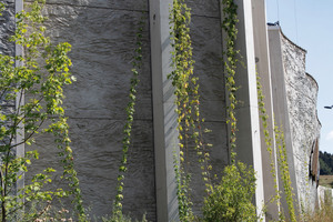  Moss-covered surfaces are combined with hop bines to create a green pattern on the wall 