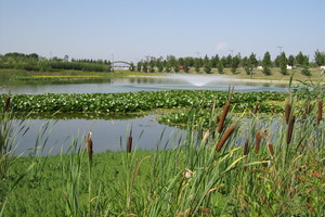  Rainwater retention basin - Portes des Alpes - Saint-Priest 