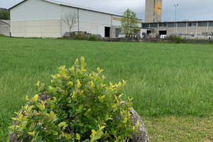  In case of wrong dimensions, the precast products are re-used as raised beds and plant pots  