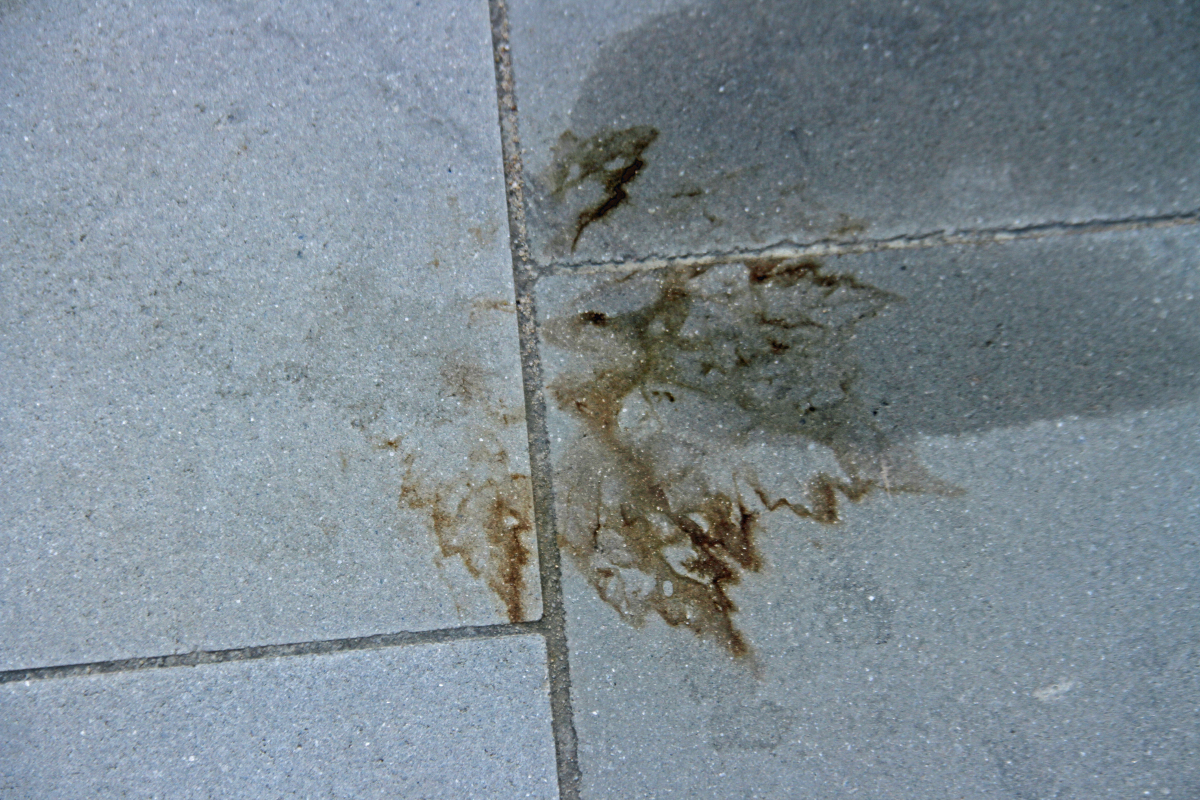 Root Causes Of Green Deposits And Foliage Effects On Concrete Block Pavements Concrete Plant Precast Technology