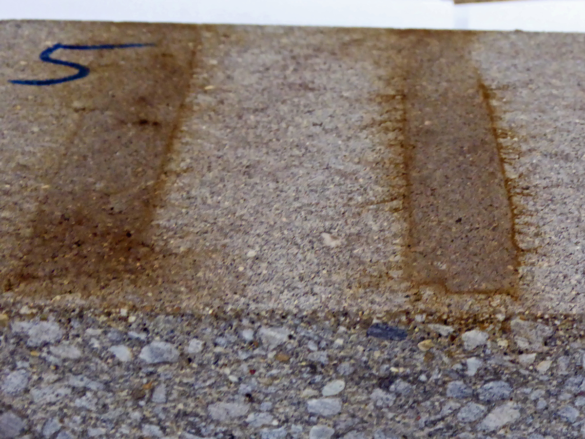 Ursachen von Grnbelgen und Laubeinwir-kungen auf Betonpflasterdecken -  Betonwerk Fertigteil-Technik