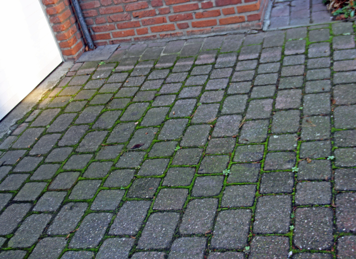 Root Causes Of Green Deposits And Foliage Effects On Concrete Block Pavements Concrete Plant Precast Technology