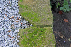  10Green deposits on the natural stones of the slope protection 
