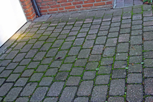  8Green deposits on the concrete block pavement of the neighboring property  