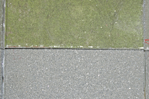  11Detailed picture of a slab without cleaning (at the top of the picture) and after cleaning with water and a wooden scrubbing brush (at the bottom of the picture)  