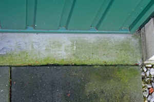  7Green deposits on the screed in front of the garage  