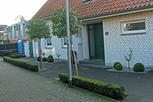  2Green deposits on the shaded north side of the concrete block pavement 