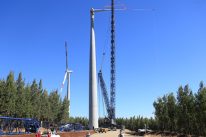  Each tower is made up of 22 precast parts 20 m long with an approximate weight of 50 t per voussoir 