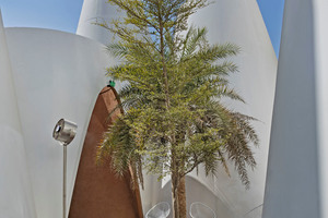  Shading effects, white exterior walls and greenery are clearly recognizable as complementary elements of Arabic building tradition 