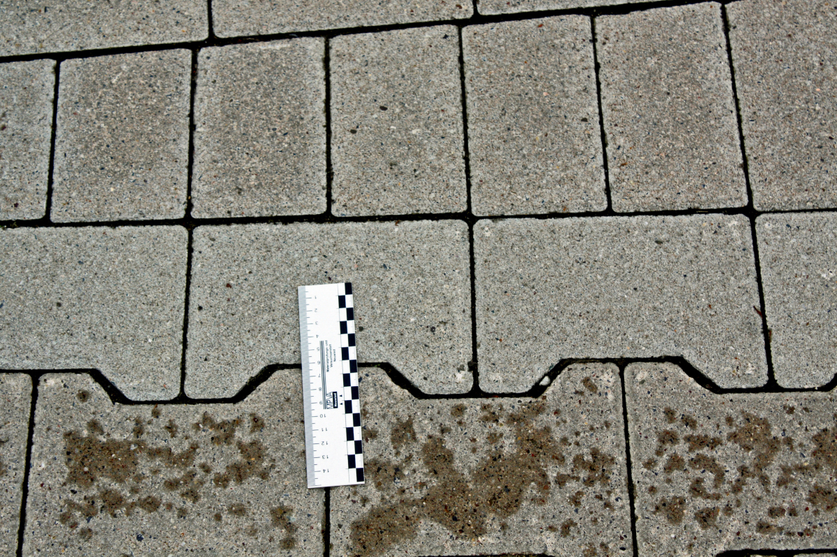 Quality management and control measures in the context of concrete ...