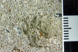  Abb. 6 a+b: Löcher in der Oberfläche der Pflastersteine 