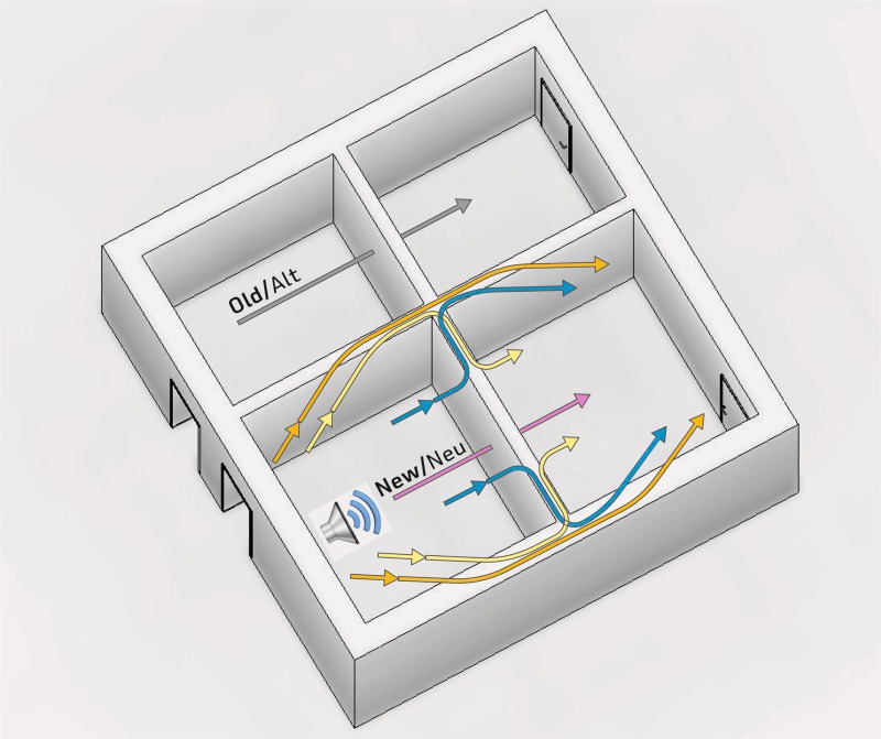 Types of flanking transmission paths in row housing.