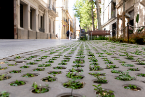  SAS TRIA: Pavement for greening municipal districts. Two examples of application in Sabadell (Barcelona) 