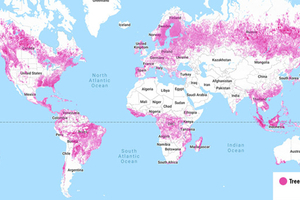  Fig. 01: Global deforestation 