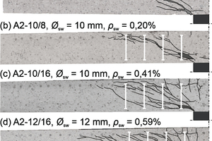  Abb 1.: Sägeschnitte ausgewählter Versuchskörper 