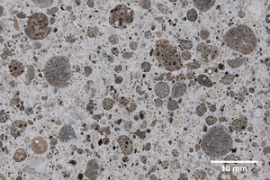  Fig. 2a: Cut surface of concrete LG-800 with lightweight granules ... 