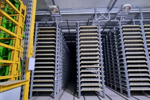 Uniform curing up to standard strength in the Rotho climate chamber 