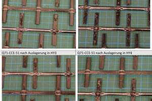  Abb. 3: Oberflächenbeschaffenheit der Carbonbewehrungen nach dem Auslagern in Hydrophobierungsmitteln  