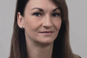  Prof. Dr.-Ing. habil. Sandra Gelbrich; Technische Universität Chemnitz, Institut für Strukturleichtbausandra.gelbrich@mb.tu-chemnitz.de 