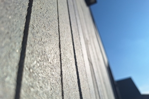  The special surface structure is easily recognizable in close-up 
