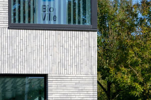  These façade facing blocks have a thickness of only 2 cm and are offered in several colors 