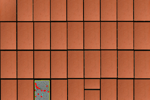  Scanned board with detected defect 