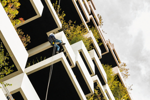  This gardener is not swinging from a vine like Tarzan, but hanging from a rope to maintain the 25 planted balconies (left pic) 