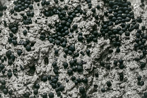  Fig. 3: Pyrolysis byproduct and carbon sink: Biochar granules added to the concrete mix  
