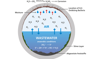  Acid attack progressively destroys the cement matrix in unprotected concrete pipes  