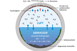  Acid attack progressively destroys the cement matrix in unprotected concrete pipes  