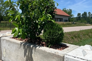  Concrete flower pot produced using a BlueMolds mold insert (1) 
