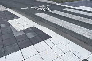  Fig. 5: Separate crossings allow people with visual and mobility impairments to safely cross the roadway  