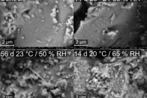  SEM images of the cements following different exposure.<br /> 