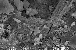  SEM images of the cement paste recorded after 28 days show comparable structures with and without X-SEED hardening accelerator. Reference: without accelerator (left); 