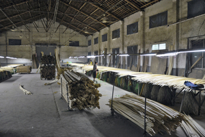  Production of bamboo in Asia 