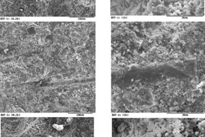  Aerated concrete specimen (type 2) with various basalt fibers. 