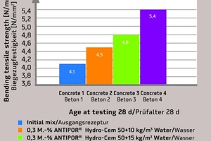  Paving blocks without Antipor Hydrocem 