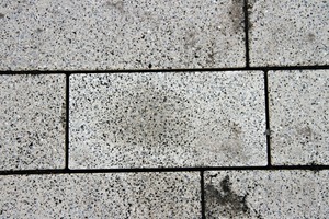  12Discolorations due to the use of black joint material used for concrete paving blocks colored white 