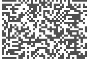  VideoScannen Sie den QR-Code mit ­Ihrem Smartphone und lesen Sie die Online-Version mit Video und zusätzlicher Foto-Galerie 