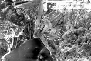 Parallel-oriented portland crystals round a particle.  