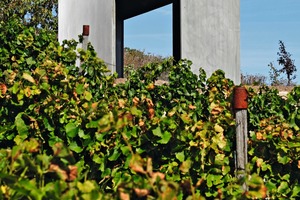  → 1 Vineyard building near Wörrstadt, German State of Rhineland-Palatinate, completed in 2011 