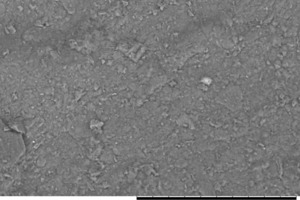 Fig. 1 SEM image (magnifi­cation of 1,000) of bentonite with a w/s ratio of 5 after ­mixing in a colloidal mixer at a speed of 960 rpm. 