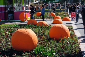  Fig. 1 The “concrete oranges“ are catching eye with their detailed design and their perfect surface. 