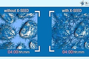  The addition of synthetic C-S-H phases accelerates hydration by crystal growth also in the pore solution  