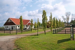  Fig.5: The horse breeding stables, another Benders division.  